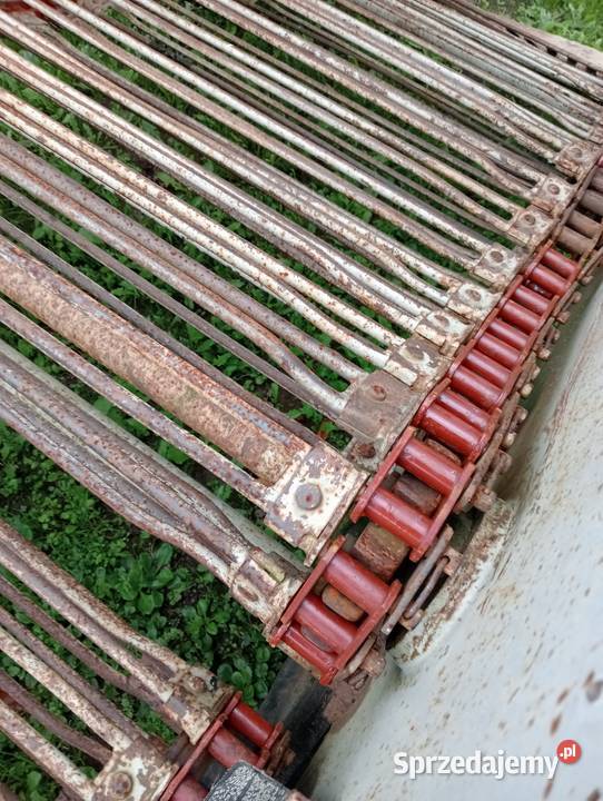 Sprzedam kopaczkie podlaskie