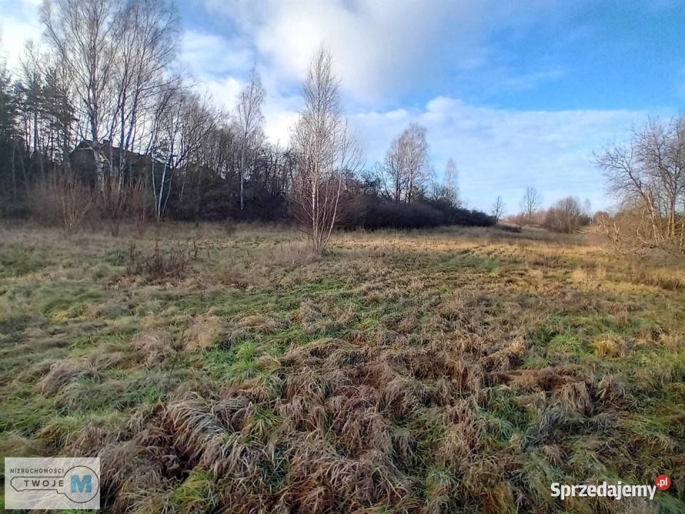 Działka Daleszyce 17841m2 świętokrzyskie sprzedam