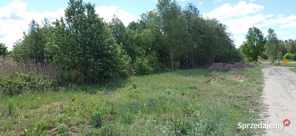 Działka 1000m2 Skrybicze warunki zabudowy sprzedam