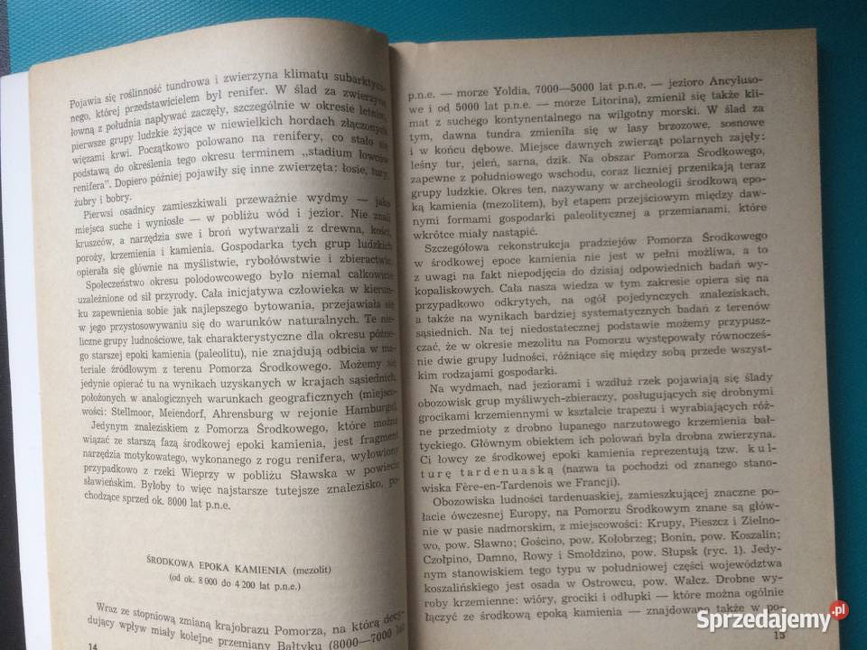 3484 Pradzieje Pomorza Zachodniego Szczecin