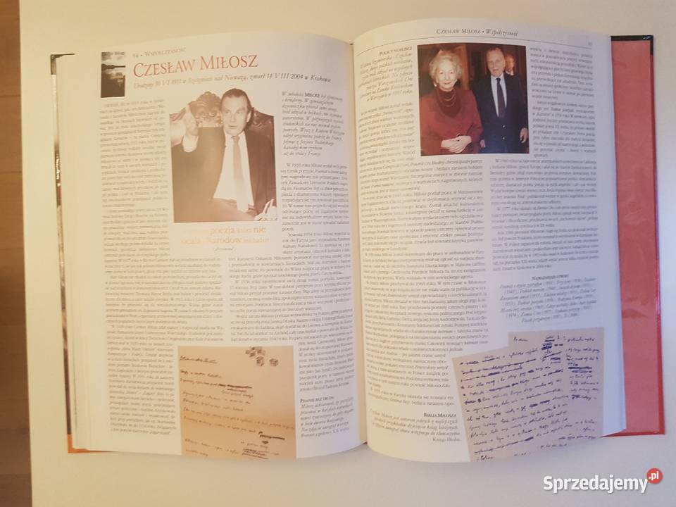 Ilustrowanyy leksykon piisarzy i poetów polskich
