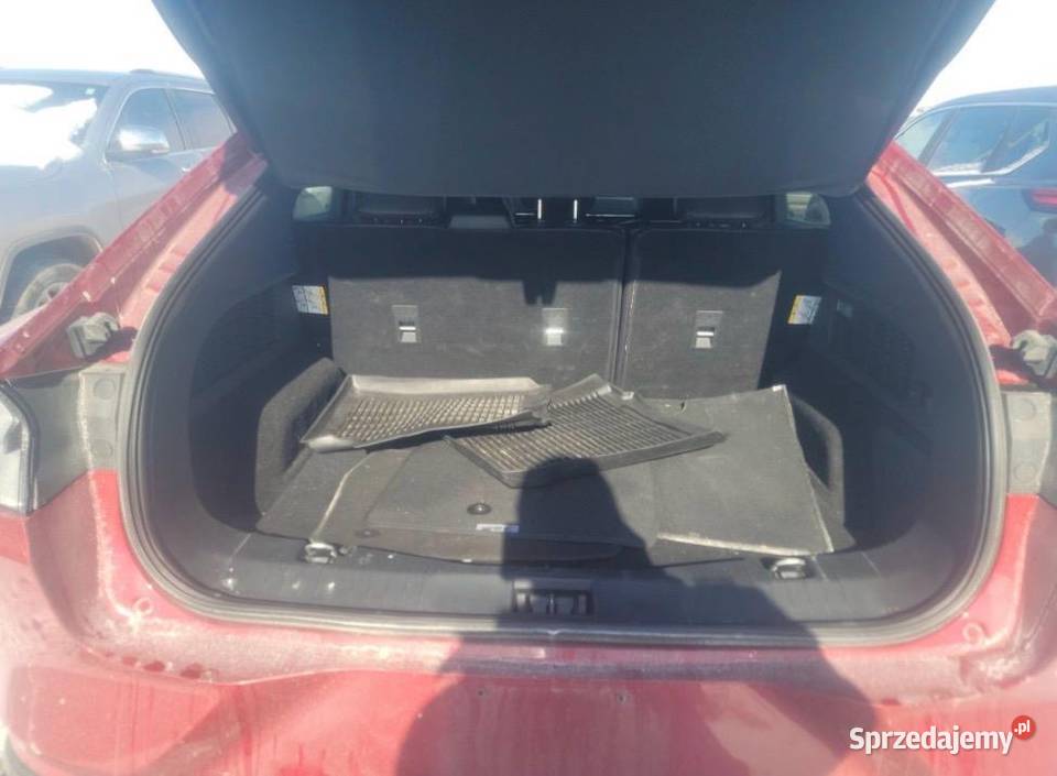 Mustang Mach E 2023 Premium AWD Grotniki sprzedam