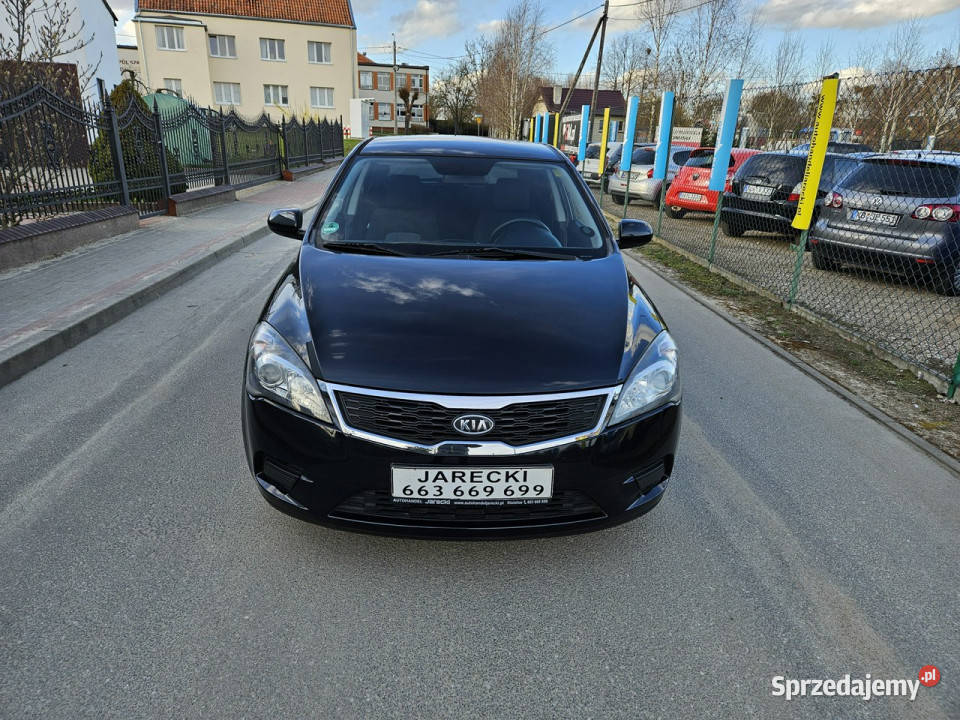 Kia Ceed Opłacona Zdrowa Zadbana Serwisowana z wspomaganie kierownicy Kisielice sprzedam