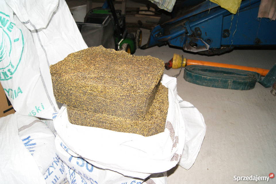 Makuch rzepakowy Hredków