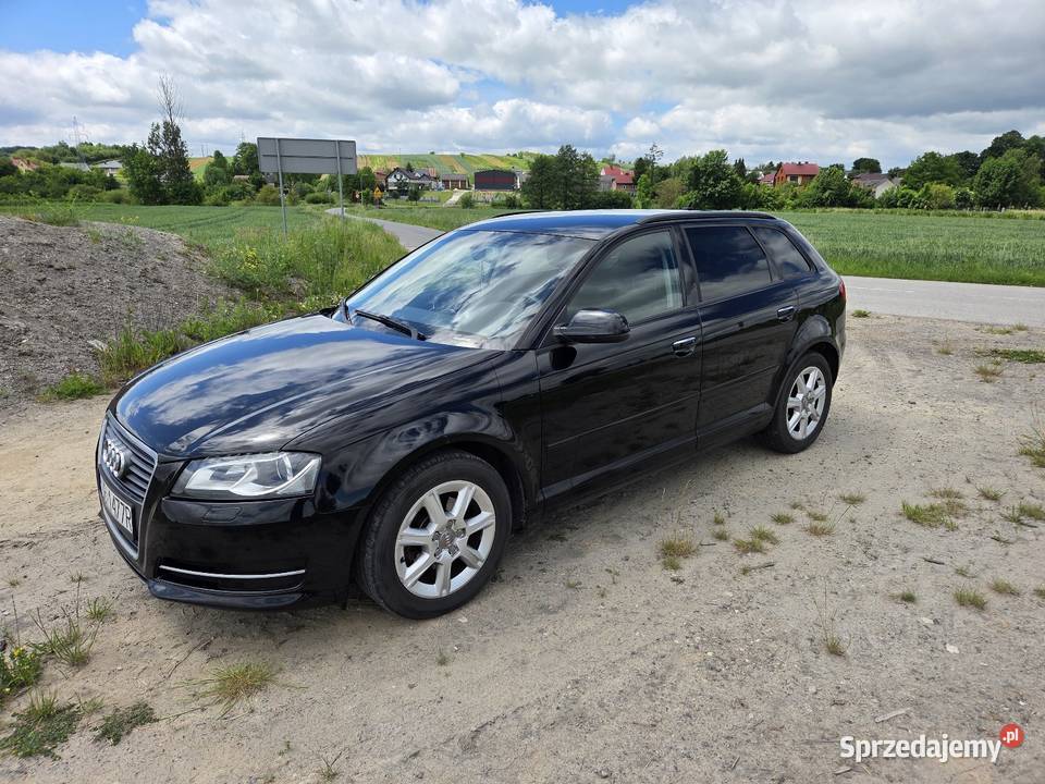 Audi A3 8P Sportback 16 TDI Samochody osobowe Zagrody