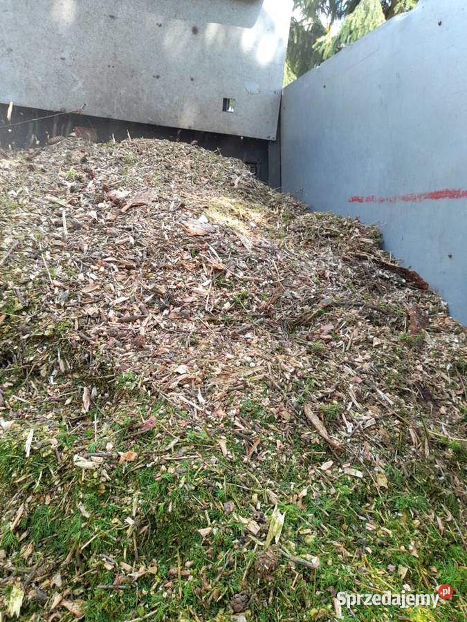 Usuwanie starych niebezpiecznych drzew rębak Skawina