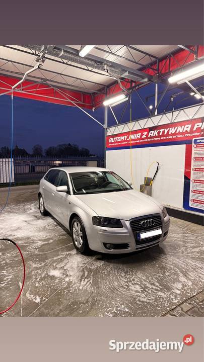 Audi A3 8P Głubczyce