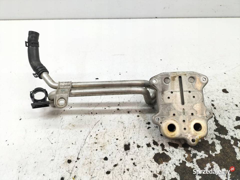 CHŁODNICA OLEJU 03C117021J 14 TSI Audi A3 II sprzedam