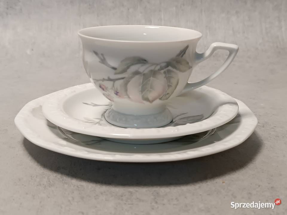 Rosenthal MARIA Jeżyna Filiżanka Trio zachodniopomorskie Dobrzany sprzedam
