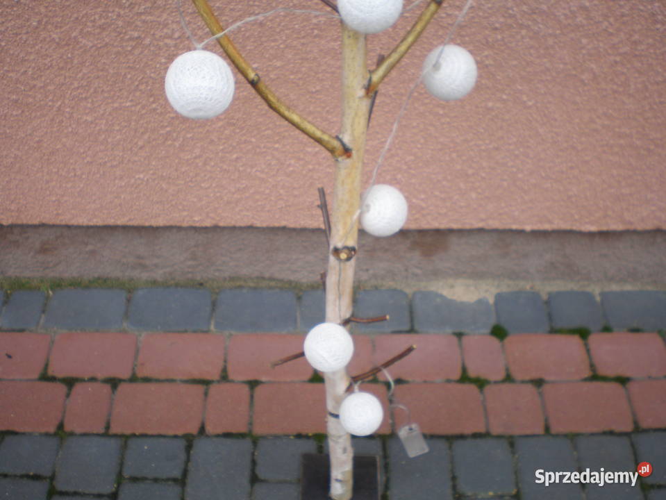 naturalny konar brzozy z kulami 10 led mazowieckie Siedlce
