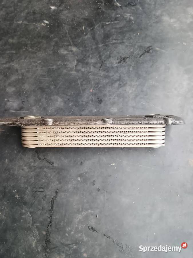 Chłodnica oleju Opel 25 26 30 32 Vectra Omega osobowe Wola Siennicka