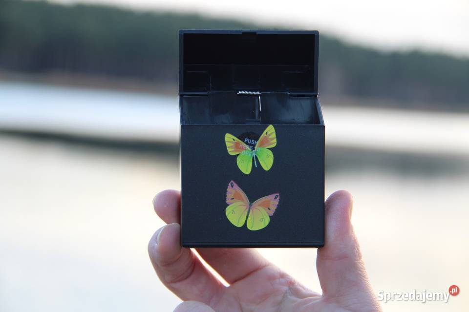 Etui na Papierosy Damskie z Motylami Ochronne na Ostrowy nad Okszą