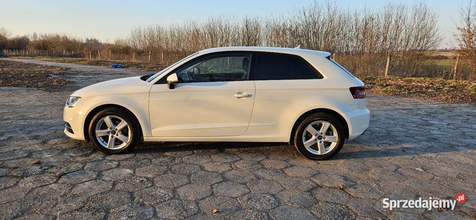 Audi A3 16 TDI 105 6 biegów 167 Łęg Tarnowski