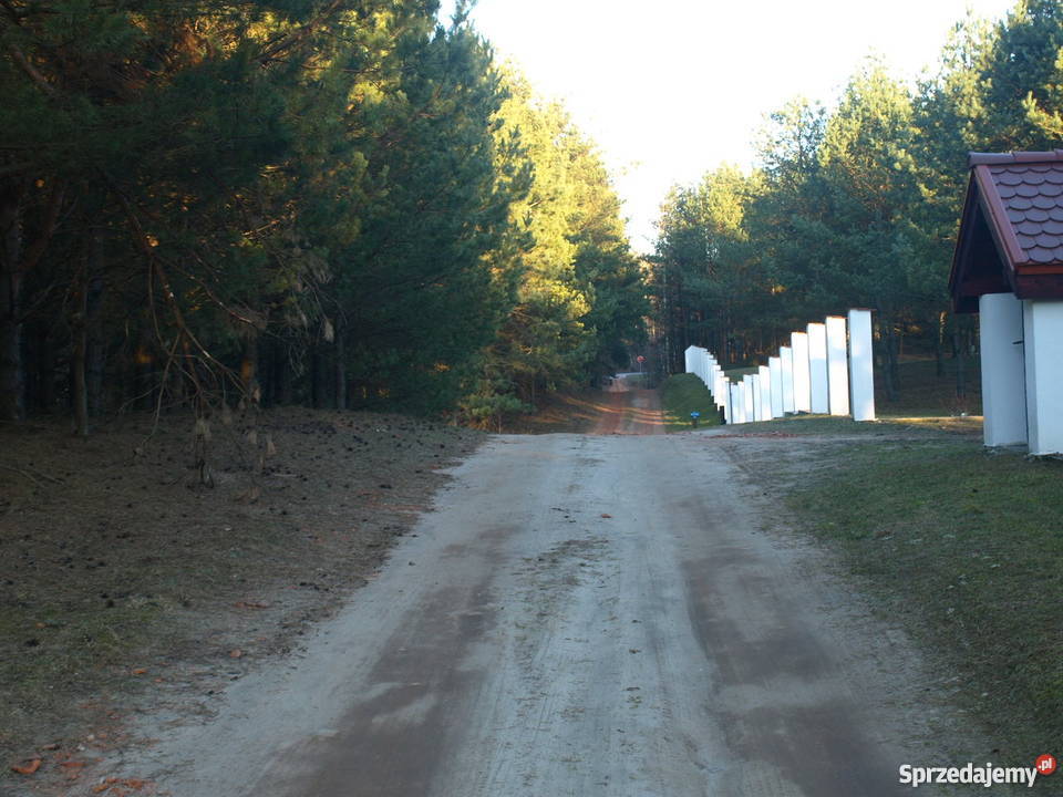 Działka pod zabudowę siedliskową Łapka Barczewko