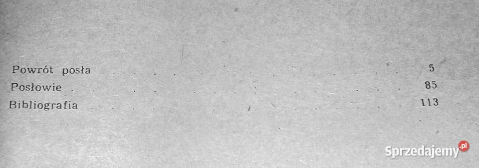 Powrót posła Julian Ursyn Niemcewicz lubelskie Chełm