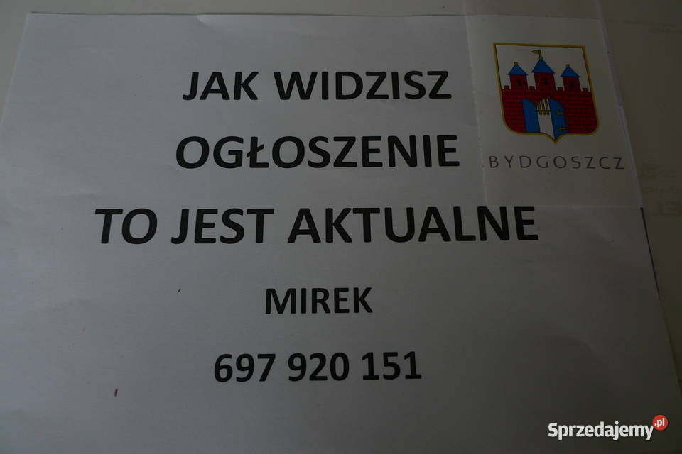 Śrutownik kamieniowy do zboża LUZAMETSD13 H123 Bydgoszcz