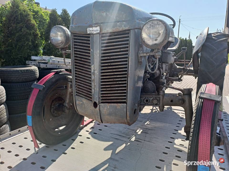 Ciągnik rolniczy Massey Ferguson TEA 20 38 1950 Skrzynia biegów Manualna Kolno