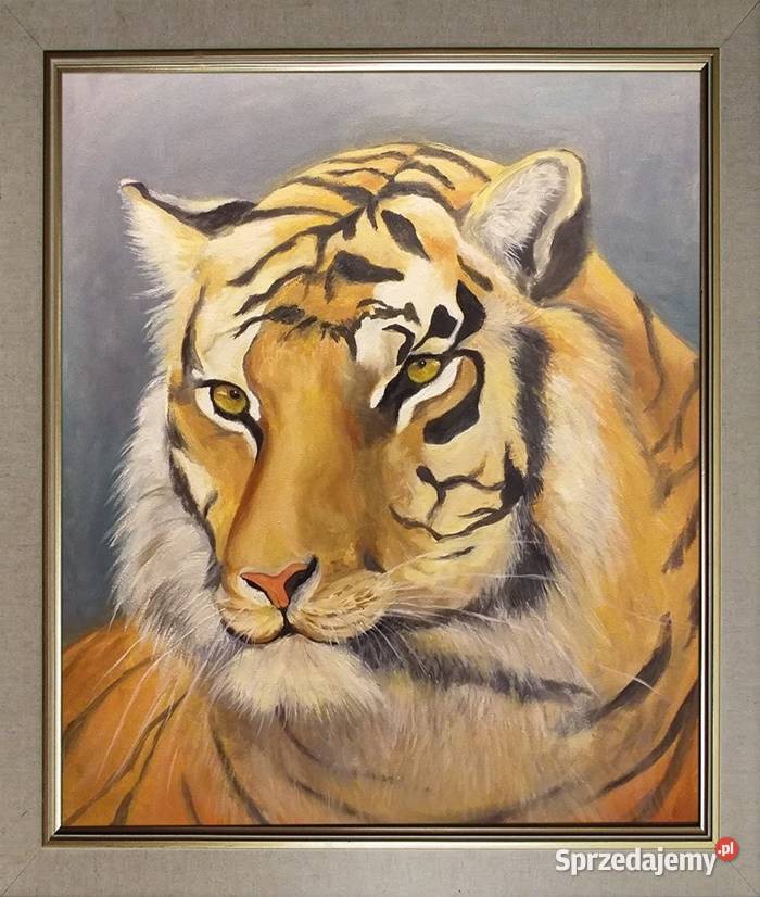 Obraz olejny Tygrys lubelskie Lublin