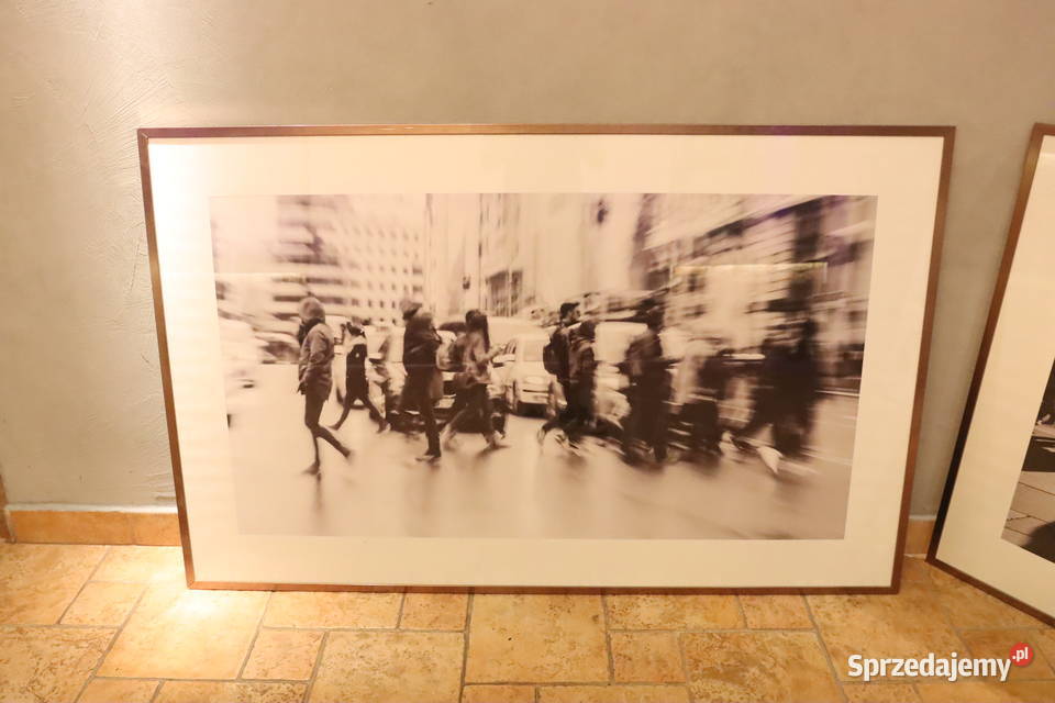 Komplet pięknych fotografii w metalowych ramach Pszczyna