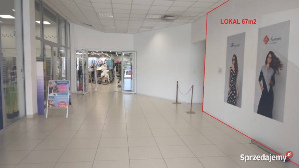 Wynajmę lokal ok 67m2 na parterze w Sosnowiec 67m2 śląskie