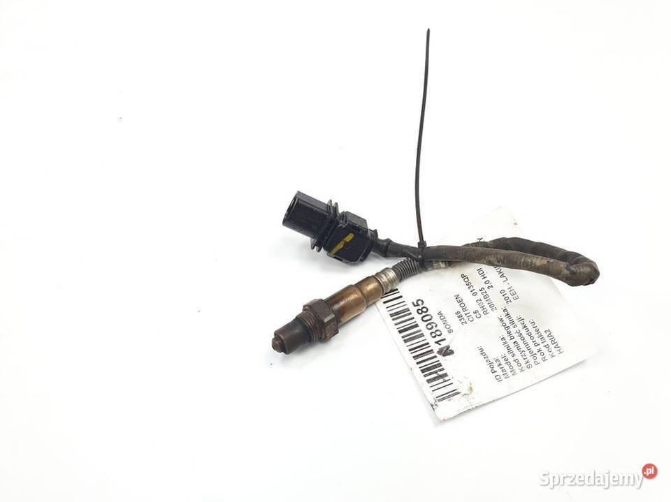SONDA CITROEN C5 9681852780 osobowe Pozostałe Lipno sprzedam