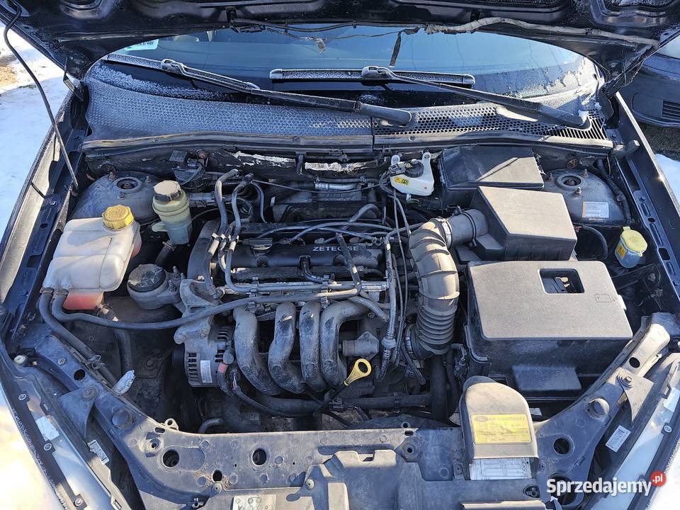 Ford Focus 16b 2003r Kania Góra