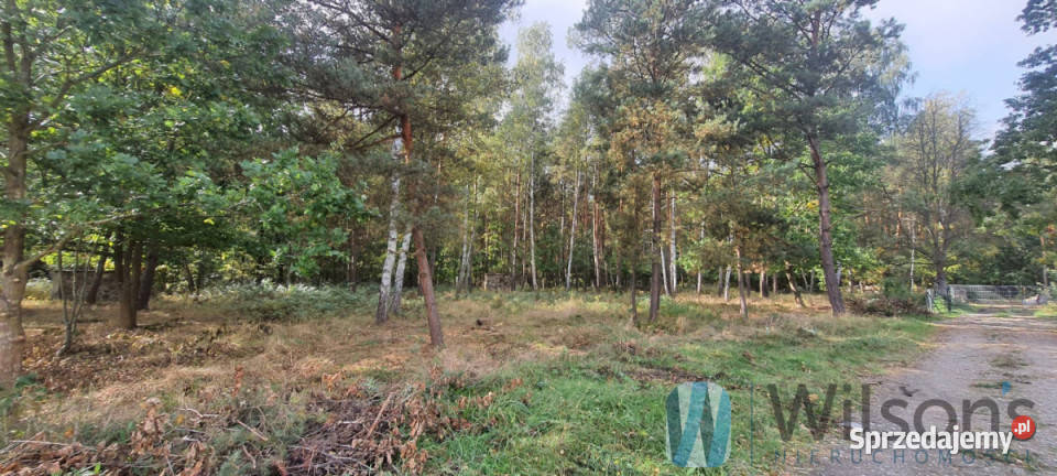 Grunt sprzedam Żabia Wola 1216m2