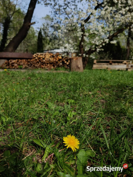 Działka Rekreacyjna ROD 500m2 Paluch 1 Włochy sprzedam