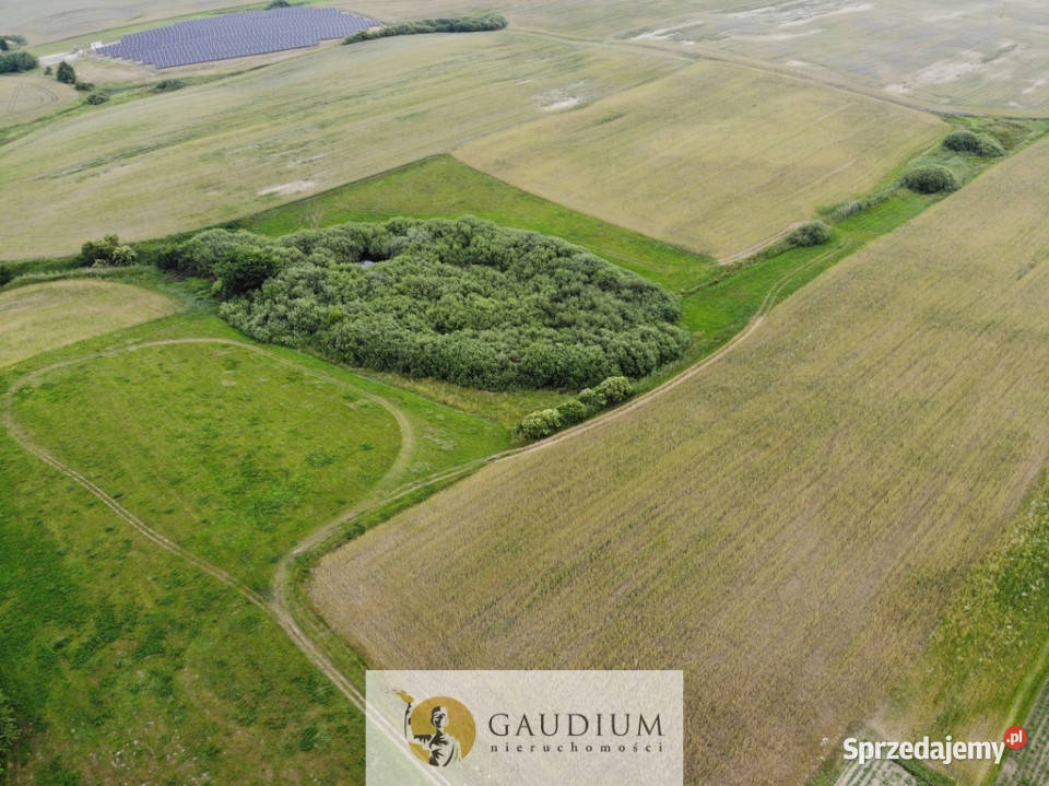 Działki przemysłowe PSSE Sztum