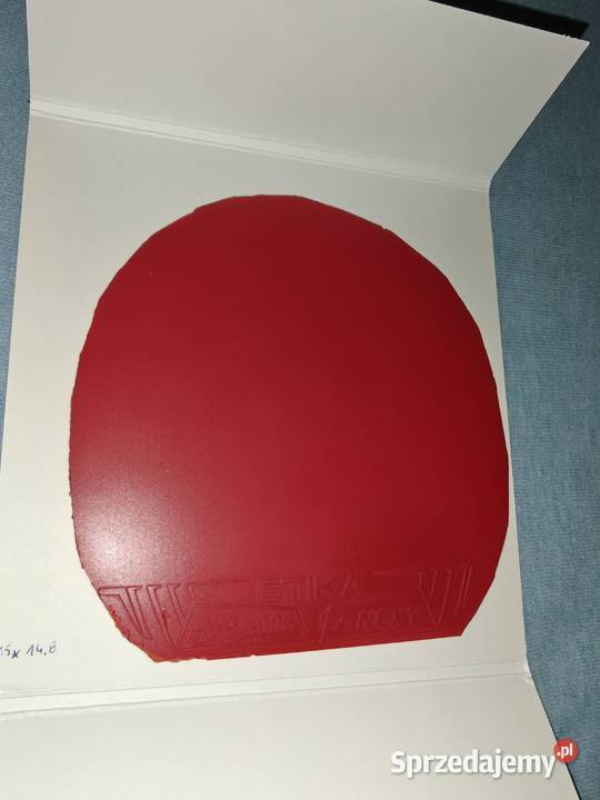 Okładziny tenis stołowy