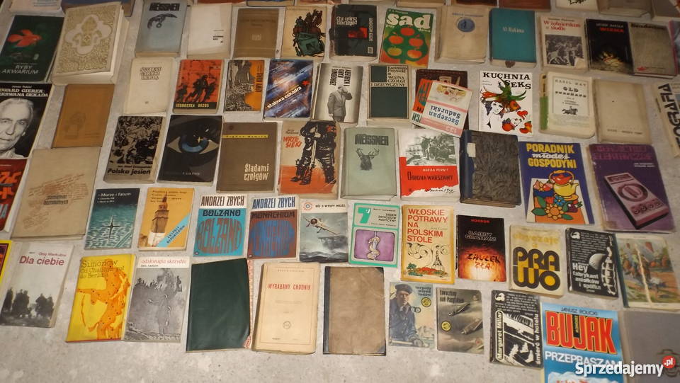 Stare książki zestaw 100 Grodziczno