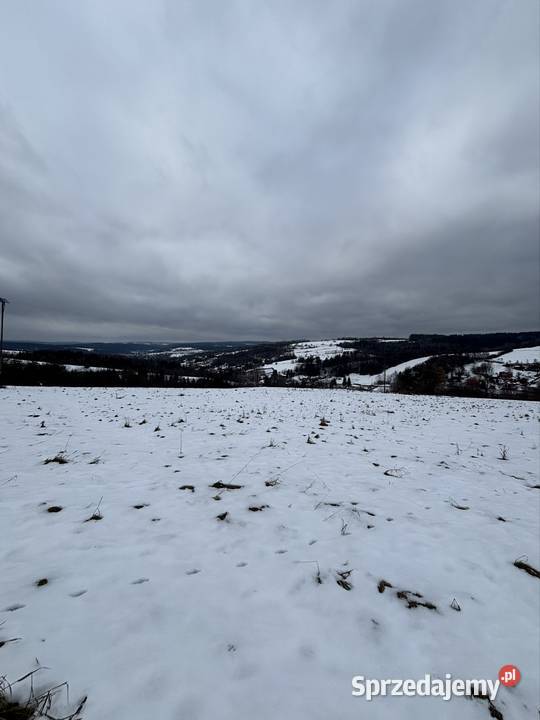 Działka 40 a z warunkami zabudowy Korzeniec