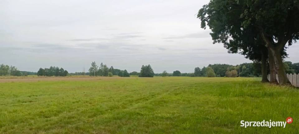 Działka pod 9 domów z WZ Brzezie Trzebnica dolnośląskie