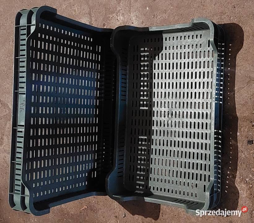 Skrzynki plastikowe różne rodzaje do 15 Skrzynki i opakowania wielkopolskie Czempiń