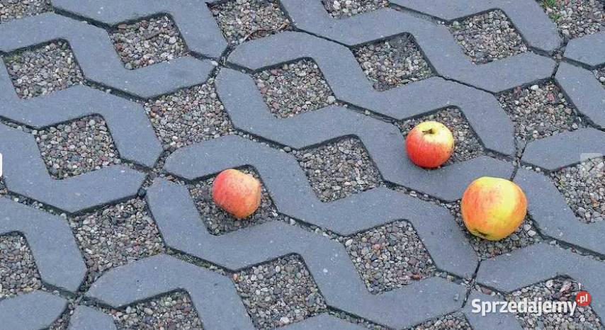 Kostka płyta płyty ażurowa Meba Ażur Polbruk 8 podkarpackie