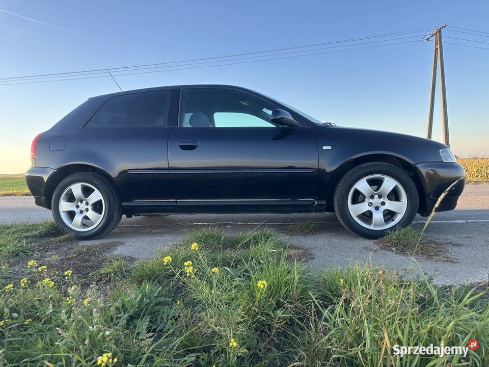 Audi A3 8L Lift 16 MPi 102 2002 z Niemiec CD A3 Przeworsk