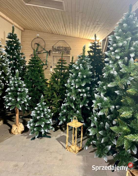 Piękna choinka 250 w metalowym stojaku Wrocław