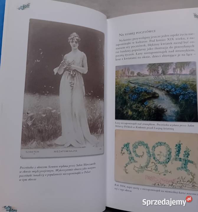 Niezapominajki z polskiej bajki Wydawn Ruthenus Koźminek