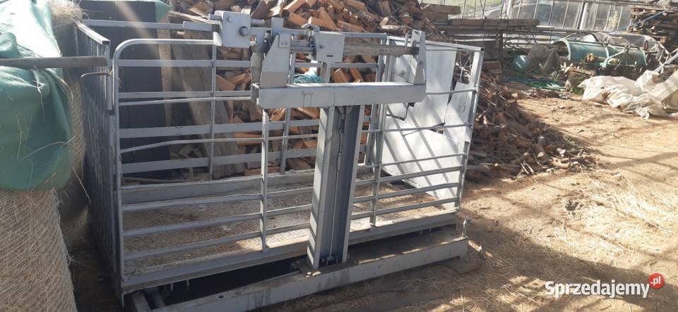 Sprzedam wagę bydła 1000 Iwkowa