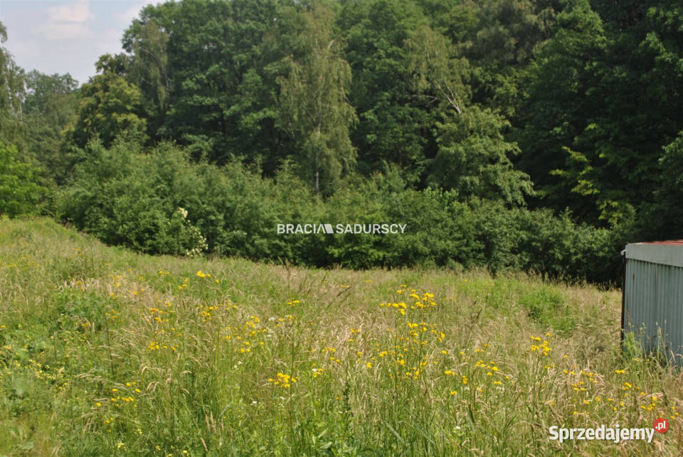 Ogłoszenie grunt Kraków Fosą 2960m2 woda