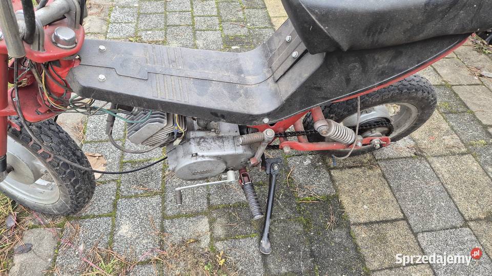 Motorynka stella Hryniewicze