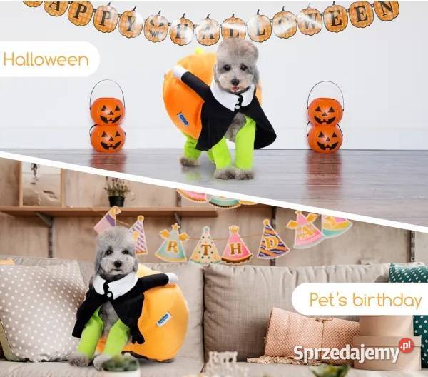 Strój ubranko dynia Halloween psa przebranie