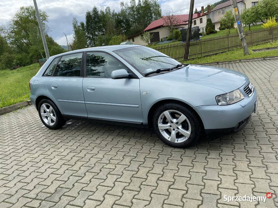 Audi A3 8L 19 TDI 130 Wojakowa
