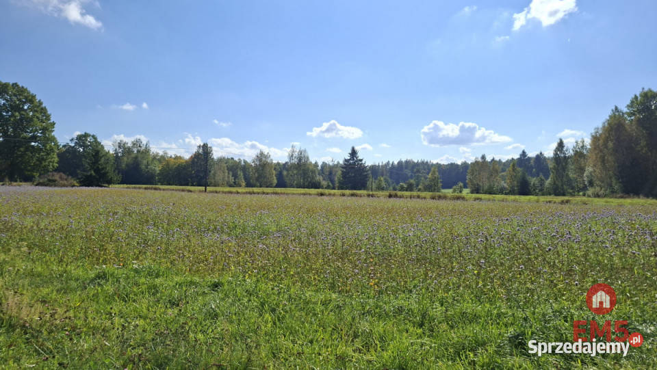 Grunt Łubianka 14815m2 14815m2