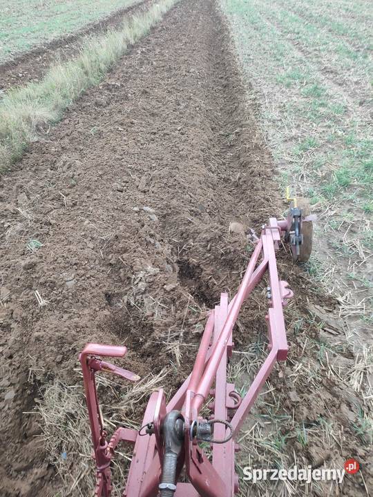 Pług zagonowy kylingstant 3 skibowy Wszachów