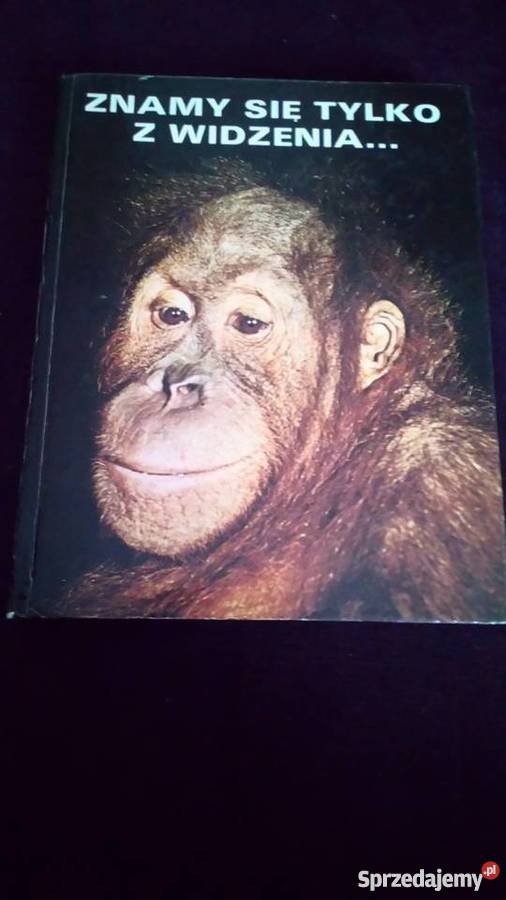 Znamy się z widzenia Zdenek Veselovsky Wrocław