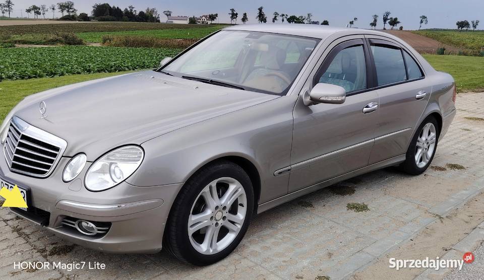 Mercedes Avandgarda