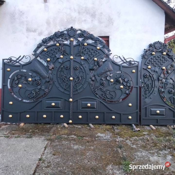 Nowoczesna kuta brama wjazdowa dwuskrzydłowa Cisownica
