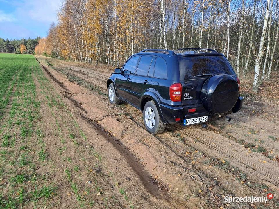 Toyota RAV 4 20 D4D 4x4 Przasnysz