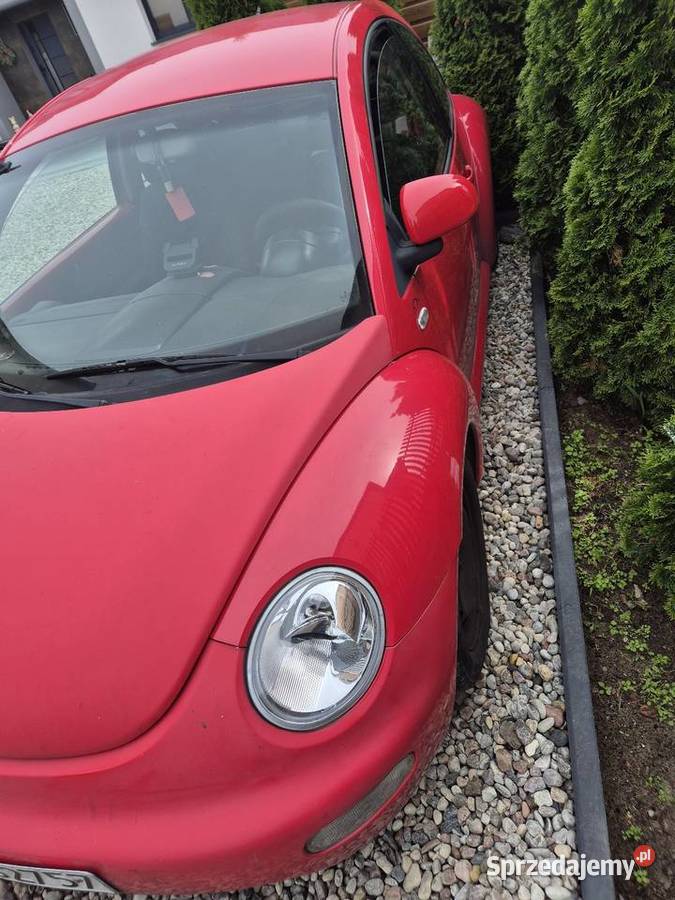 Beetle